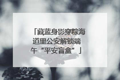 藏蓝身影穿粽海 道里公安解锁端午“平安盲盒”